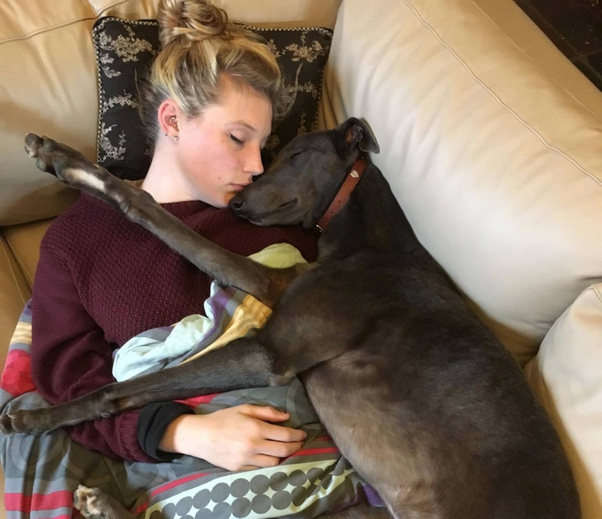 A Kitty’s Guide to&nbsp;Cat-Napping